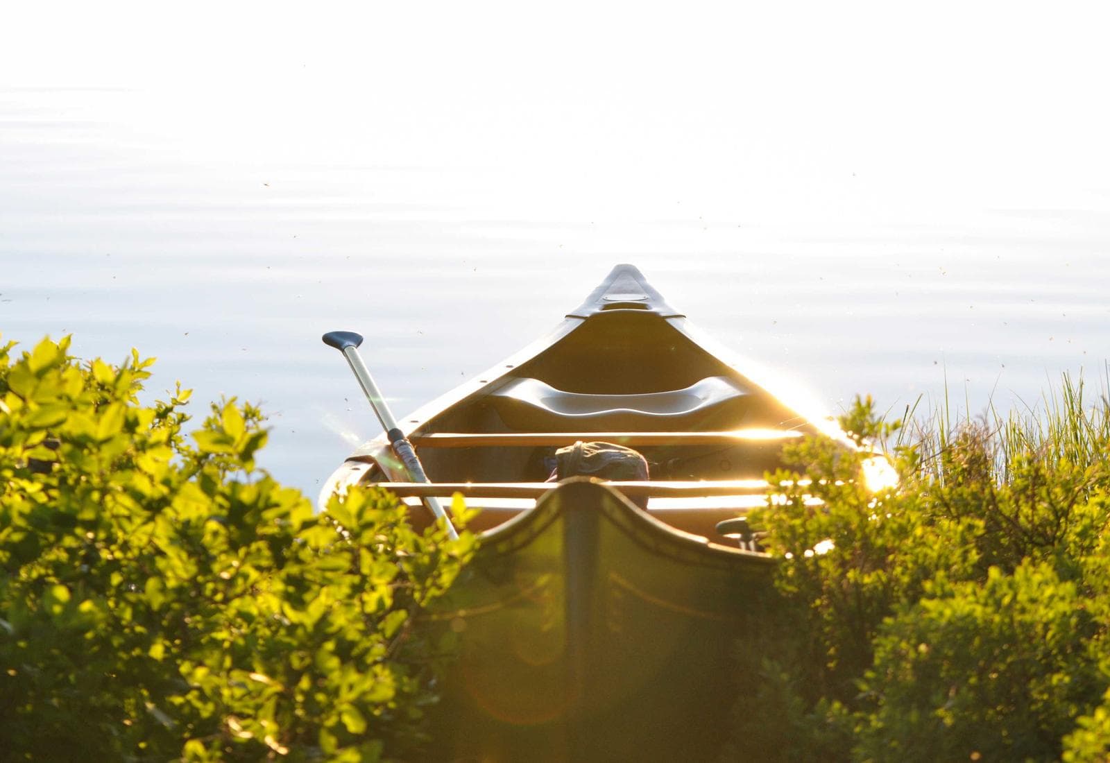 Olive Grove Pavilion — image 7
